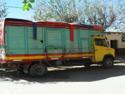 camion benetton