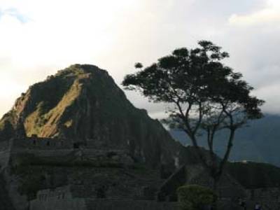 machu toujours