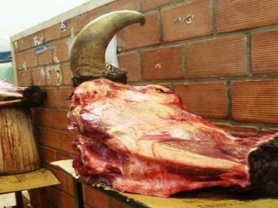 Marche bolivien... Miam