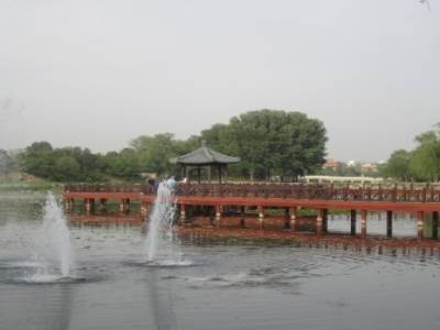 Summer Palace