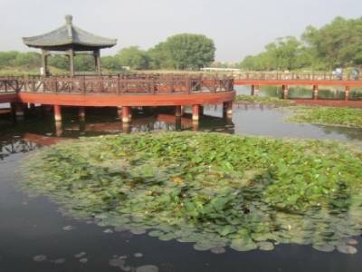 Summer Palace