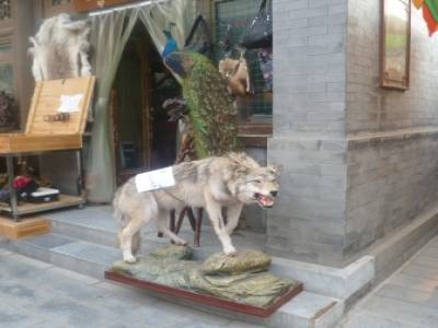 Antique Market