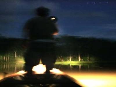 amazon by night