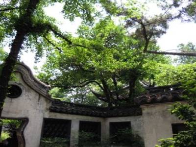 Yuyuan Garden (Old Town)