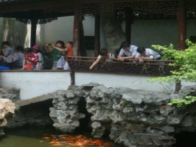Yuyuan Garden (Old Town)