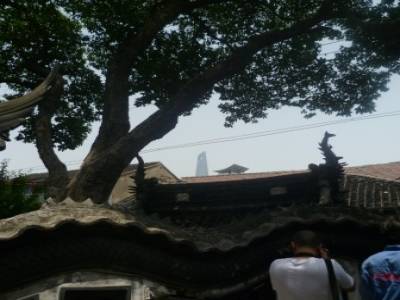 Yuyuan Garden (Old Town)
