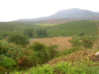 campgne du centre vietnam
