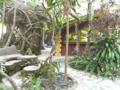 crazy house