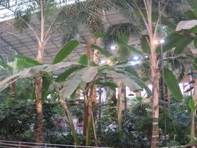 Gare d'Atocha