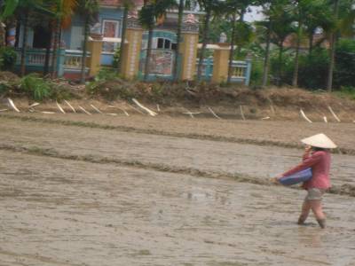 la semeuse facon vietnamienne