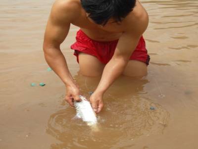 un poisson !!!