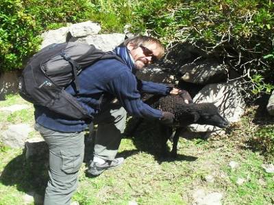 les moutons aussi sont sympas ! Comme Añmelie ne veut pas dún deuxieme cochon a la maison, je prends un mouton noir ! je vais lappeler... mouton noir !