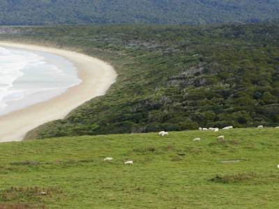 MOUTONS