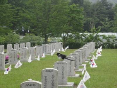 Seoul National Cemetery