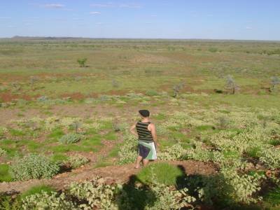 L' ''Outback'' entre Port Hedland et le Karijini National Park, le 23/04/2011