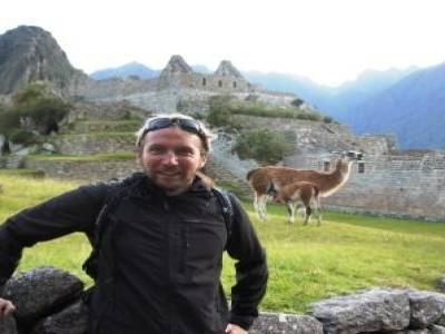 Des lamas au Machu