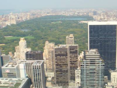 Vue sur Central Park depuis le Top of the Rock