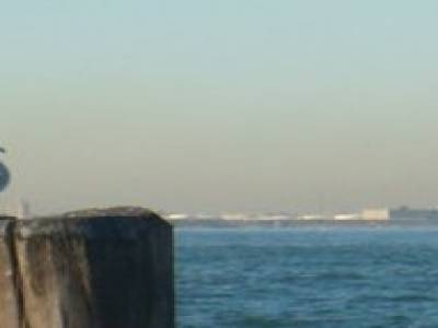 Vue depuis Battery Park