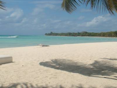 Palmilla Island