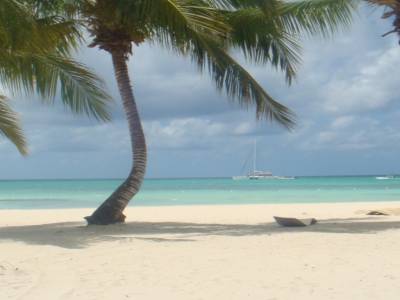 Saona island