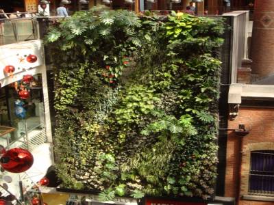 Mur végétal in Melbourne Central