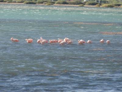 El Calafate