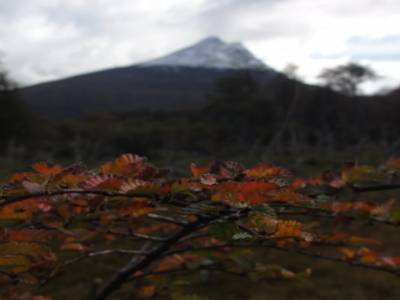 Parc de la Tierra del Fuego