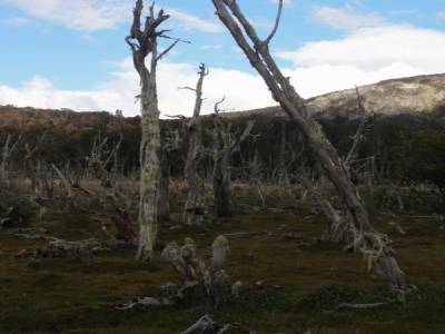 Parc de la Tierra del Fuego