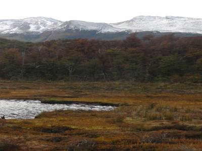 Parc de la Tierra del Fuego
