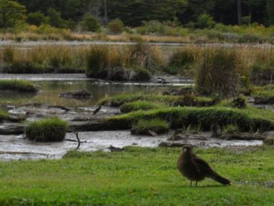 Parc de la Tierra del Fuego