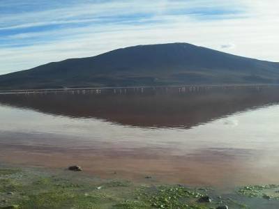 la laguna colorada avec ses flammands roses