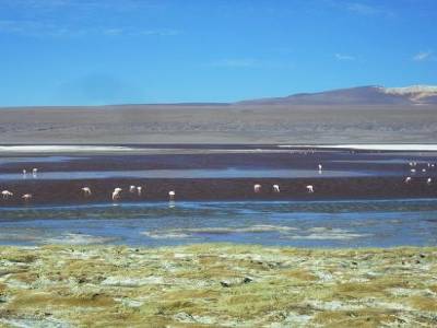 emcore la laguna clarada, on a adore....