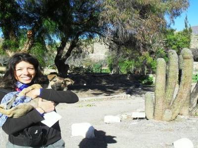 A Tilcara, il y a une forteresse pre-inca, mais Amelie a trouve un chien !