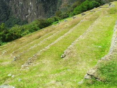 Les terrasses agricoles vues de dessus
