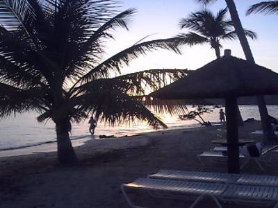 le paysage
