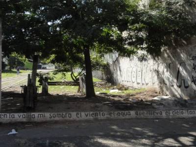 dans la boca