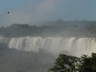 Chutes d'Iguazu