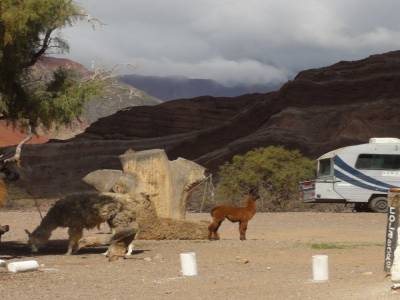 Entre Salta et Cafayate