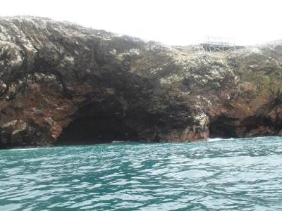 les iles Ballestas... plus de 50.000 oiseaux, des pingouins, des lions de mer et des hordes de touristes en speed boat !