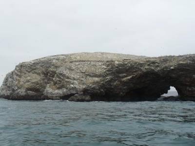 au milieu de la falaise, y´a plein de manchots de humboldt ! léau nést pas tres chaude....