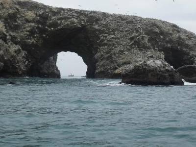 l´arche de noe