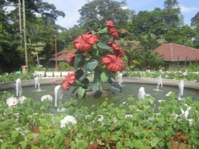 Lake Gardens