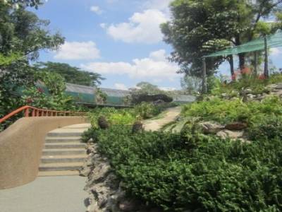Lake Gardens