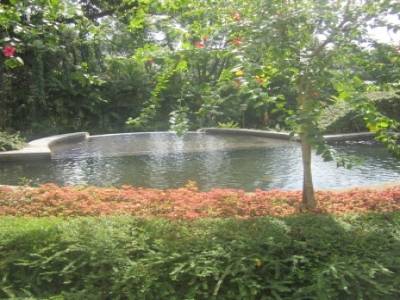 Lake Gardens