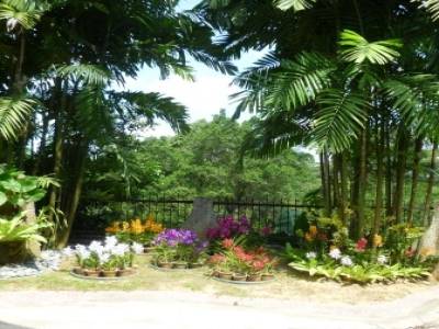 Lake Gardens