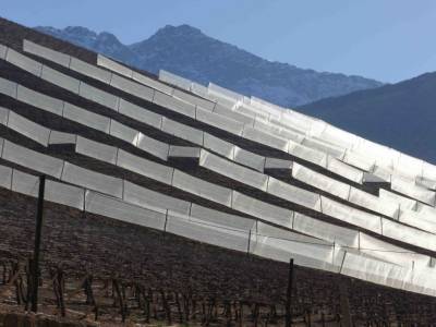 VIGNES
