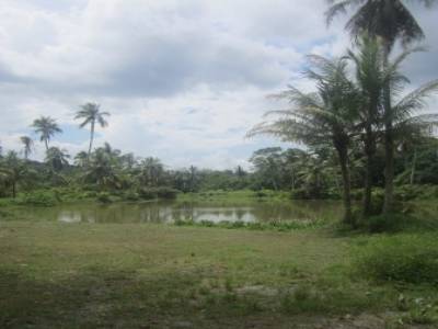 Pulau Ubin