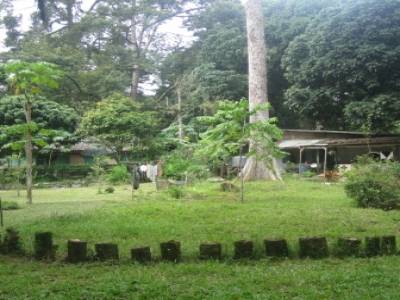 Pulau Ubin
