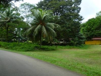 Pulau Ubin