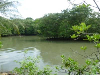 Pulau Ubin